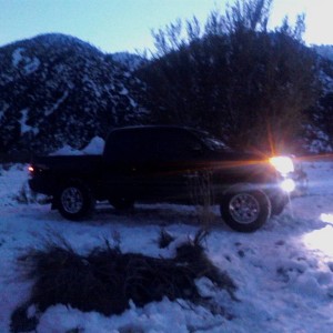 tacoma50