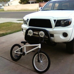 Satoshi finished and installed and a colormatched bike! :D
