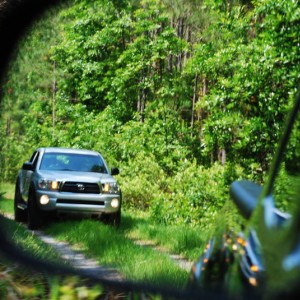 Matanzas State Forest 17MAY09