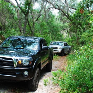 Matanzas State Forest 17MAY09