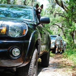 Matanzas State Forest 17MAY09