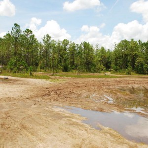 New mud hole