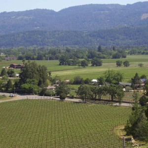Napa Valley