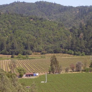 Napa Valley
