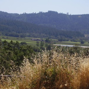 Napa Valley