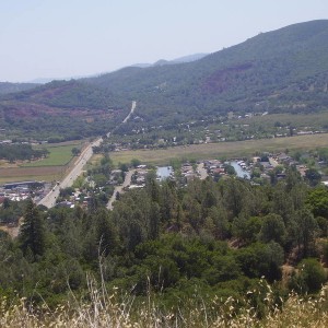 Clear lake oaks