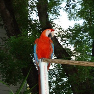 More Key West