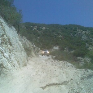 angeles forrest