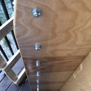 Image1