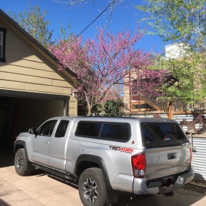 New Leer 100R Canopy