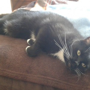 Our Lil Dompy!