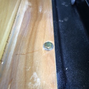 Image7