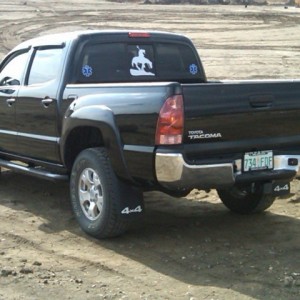 2008 Tacoma w/ bull bar