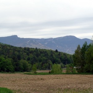 Stowe Resort