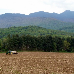 Mt Mansfield Smugglers Notch