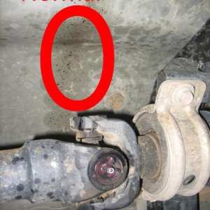 Drive shaft