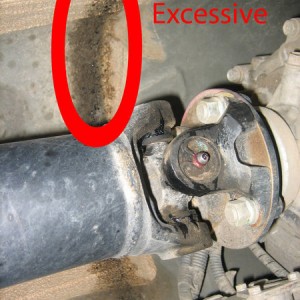 Drive shaft