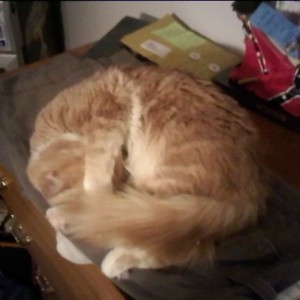 phazer pissed cause i turned on the light