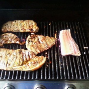 Dinner time!! :D