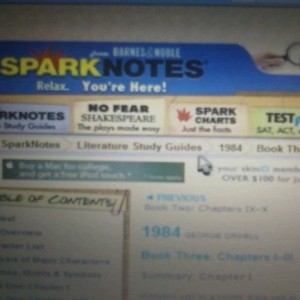 Sparknotes for the book 1984... I cant wait... Only 6 more days until im a 