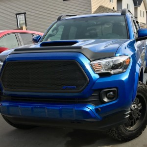 Morimoto fog lights
