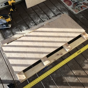 Image1