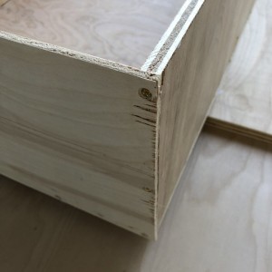 Image6