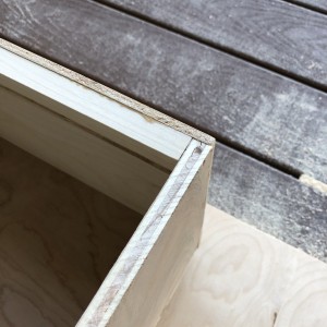 Image7