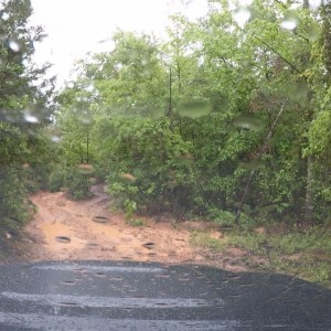 GOPR0116-3
