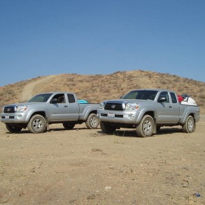 the twins