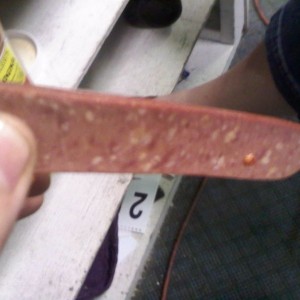 Here is what they look like