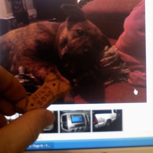 7117... here boy come get it... thats a good boy
