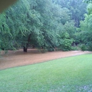 The Grove Hill Creek..... flooded