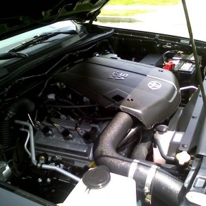 cleaned the engine bay. it was filthy