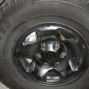 Painted Wheels
