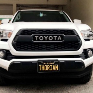 Trdprogrille
