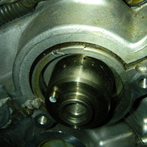 DSCN2954