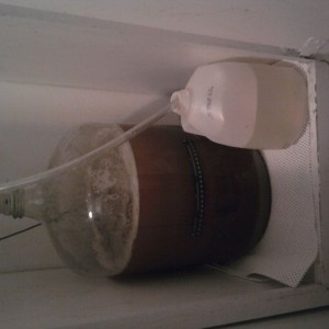 now we wait!! Itll be beer in a few weeks!!