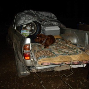 my bed when we go camping