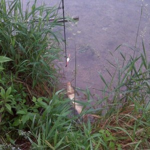 Carp on corn and a bobber. My rod end came off.