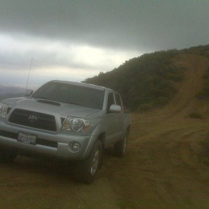 Angeles Forest 7N01