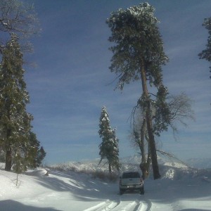 Hwy 18 near Rim Forest (looking east towards Big Bear).