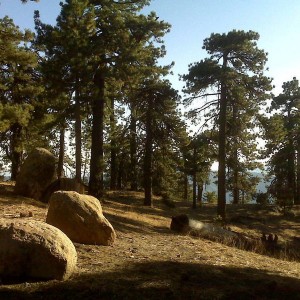 Reyes Peak - Los Padres
