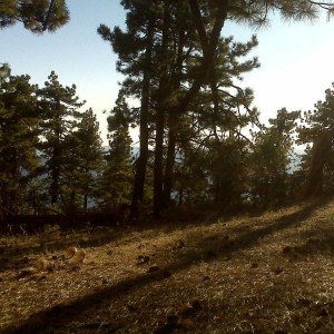 Reyes Peak - Los Padres