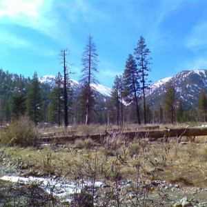 Lytle Creek - winter 08