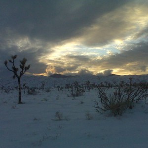 Pioneer Town - Snow 09