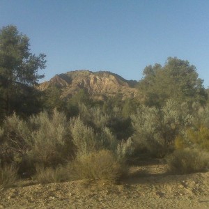 Los Padres National Forest - Qatal Canyon