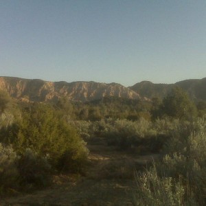 Los Padres National Forest - Qatal Canyon