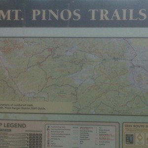 Los Padres National Forest - Mt Pinos Trails