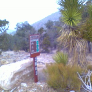 San Bernardino National Forest route 3N03